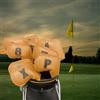 Copricapo universale in ferro da golf da 10 pezzi, 4,5,6,7,8,9,A,S,P,X per