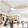 AQLEDY Pale Da Soffitto Con Luce E Telecomando Silenzioso Lampadario Con