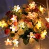 TaimeiMao Ghirlanda Luminosa Fiori con USB 2m 20LED - Catena LED