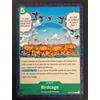 One Piece Card Game Birdcage OP05-040 1st Anniversary Promo English
