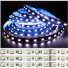 ZFB Tesfish Striscia LED 24V, 5 in 1 Chip RGB+CCT, RGB + Bianco + Bianco