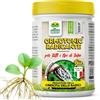 Albagarden Ormotonic Radicante in Polvere 1 kg, Ormone Radicante per Talee, Micorrize Universale, Stimolatore Radici per Vivaio, Serra, Orto, Legnose ed Erbacee