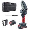 Mini Motosega 48V 2x Batterie Litio Sega Potatura Giardino Valigetta 4 Pollici