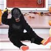 Costume da gorilla di Halloween, cosplay di animali, per feste in maschera a