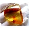 GRANDE AMBRA COPAL, 13 gr con vari insetti, coleotteri, ragno...