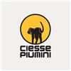 CIESSE PIUMINI HENRY BOY PIUMINO REVERSIBILE BAMBINO CAPPUCCIO ROSSO NERO