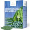 LERAVA® Concime Prato Primavera - 70m² - Fertilizzante per Prato, Antimuschio pe