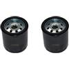 perfektGarten 2 X filtro olio per Briggs & Stratton motore 491056 807894 John Deere AM101207