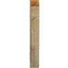 G. DEL RE Palo Legno Paletto Giardino in Pino Impregnato cm 7X7X210H
