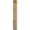 G. DEL RE Palo Legno Paletto Giardino in Pino Impregnato cm 7X7X300H