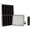 DRIWEI FARO LED FARETTO ALTA LUMINOSITA' PANNELLO SOLARE CREPUSCOLARE TELECOMANDO 100W