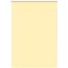vidaXL Roller Blind, Roller Blinds, Tenda A Rullo vidaXL