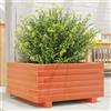 vidaXL Fioriera da Giardino Bianca 50x50x26,5cm Legno Massello di Pino vidaXL