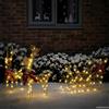 vidaXL Slitta trainata da renna con 160 LED Bianco caldo Decorazioni Natalizie vidaXL