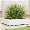 vidaXL Fioriera da Giardino Bianca 100x100x26,5cm Legno Massello Pino fioriera vidaXL
