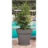 Monacis Vaso Plastica Giardino esterno dimensioni ø50 x 45 h Grigio V1327 Gemma
