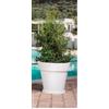 Monacis Vaso Plastica Giardino Esterno Fioriera Ø cm. 50x45 h V1303 Gemma