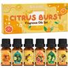 SALKING Oli Essenziali Agrumi per Diffusori 6x10ml Set di Olio Essenziale Puri