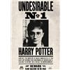 Set Locandina Wanted Harry Potter Hermione Ron Weasley Dumbledore A4/A3