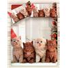 Sogni d'Oro Copripiumino GATTI NATALE Matrimoniale 2 Piazze Singolo 1,5P 100% Cotone DIGITAL