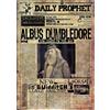 Set Locandina Wanted Harry Potter Hermione Ron Weasley Dumbledore A4/A3