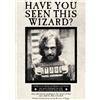 Set Locandina Wanted Harry Potter Hermione Ron Weasley Dumbledore A4/A3