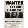 Set Locandina Wanted Harry Potter Hermione Ron Weasley Dumbledore A4/A3