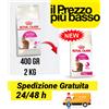 Royal Canin fussy exigent ex Savour Exigent per gatti adulti con poco appetito