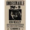 Set Locandina Wanted Harry Potter Hermione Ron Weasley Dumbledore A4/A3