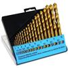 C.K Tools C.K. Set punte elicoidali per metallo HSS 19 pezzi T3291 TiN DIN 338 codolo cili
