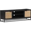 vidaXL Mobile Porta TV 120x30x40 cm in Legno Massello di Mango vidaXL