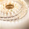 DRIWEI BOBINA STRISCIA LED 3528 FLESSIBILE 5M ADESIVA LUCE BIANCO NATURALE 4000K IP65
