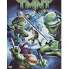 Warner Bros TMNT - Teenage Mutant Ninja Turtles (Tartarughe Ninja) - DVD