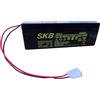 SKB Batteria Piombo 6v 4ah X Lampada Beghelli 38620408 con filo e connettore