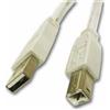 OEM EWENT CAVO USB PER STAMPANTE TIPO AM/BM 5MT GRIGIO CC-100104-050-G-B