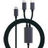 ROLINE - Cavo USB - Da USB-C a 24 pin (M) a USB-C a 24 pin (M) - USB 2.0 - 185 m
