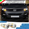 ESA COPPIA LAMPADE PY21W CANBUS 3.0 24 LED FIAT SCUDO MK3 PER FRECCE ANTERIORI