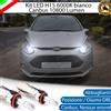 ELM KIT LED H15 6000K FORD B-MAX CON FARI A PARABOLA ABBAGLIANTI + LUCI DIURNE DRL