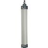RIEGLER 106243-5.DMD.100025 - Cilindro standard, a doppia azione, magnete, diametro pistone 100, hub 25, G 1/2, 1 pezzo