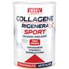 WHYsport Collagene Rigenera SPORT - Barattolo da 336g