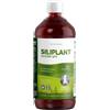 G7 Siliplant Formula Migliorata Integratore Alimentare di Silicio Liquido