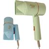 DRIWEI ASCIUGACAPELLI PHON DA VIAGGIO PIEGHEVOLE CAPELLI ARIA CALDA 1800W SK-3205