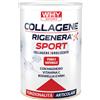WHYSPORT COLLAGENE RIGENERA SPORT - COLLAGENE IDROLIZZATO NATURALE