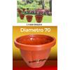 Bronzo Srl 1 Vaso Dorico Ø 70cm Altezza 60/70cm 140 Litri Colore Terracotta Polipropilene