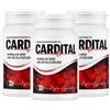 Cardital | 3x60 capsule | Estratto di mirtillo rosso, magnesio, L-arginina