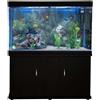 MONSTERSHOP Acquario 300 Litri con Armadietto Nero e Kit con Fondale, Piante e Ghiaia Bianca