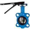 RIEGLER 103687-350.6150B - Valvola di arresto per flangia, DN 150, 1 pezzo