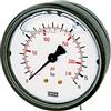 RIEGLER 102104-812-K Glyzerinmano, plastica, G 1/4 posteriore centrale, 0-100,0 bar, Ø 63, 1 pezzo