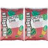 Undergreen CACTUS Love, Terriccio per Cactus e altre Piante Grasse da appartamento o balcone, Consentito in agricoltura biologica, 2,5 l (Confezione da 2)