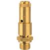 RIEGLER 104752-227.66-15,2 - Valvola di sicurezza DN 10, in ottone, G 3/4, pressione di risposta 15,2 bar, 1 pezzo